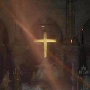 Meet your Posher, George